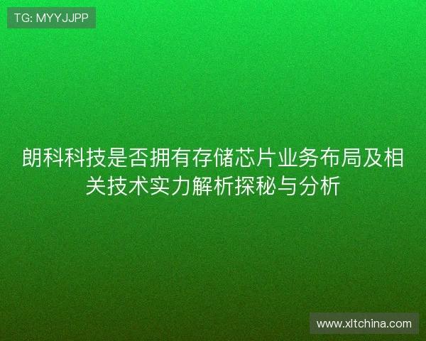 朗科科技是否拥有存储芯片业务布局及相关技术实力解析探秘与分析
