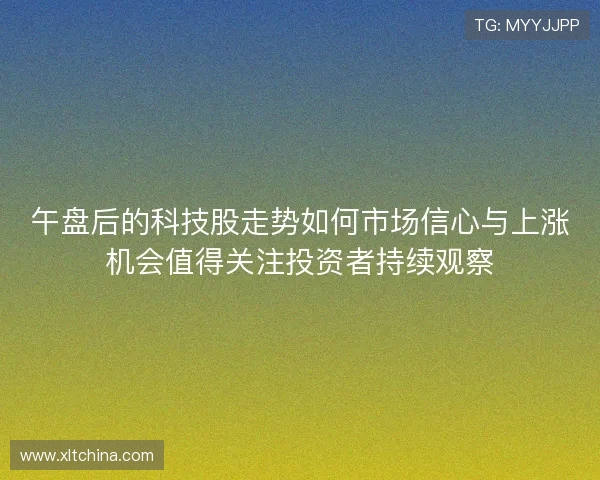 午盘后的科技股走势如何市场信心与上涨机会值得关注投资者持续观察